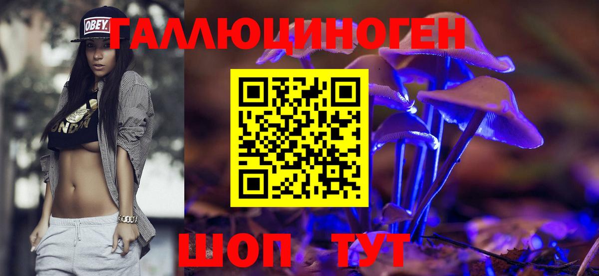 Псилоцибиновые грибы Cubensis  Вход с VPN  Киселёвск  Галлюциногенные грибы Psilocybine cubensis 